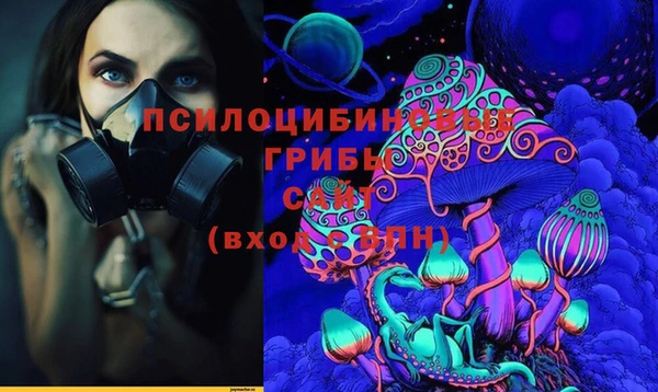 spice Дмитровск