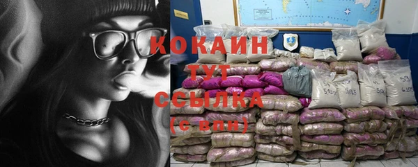 spice Дмитровск