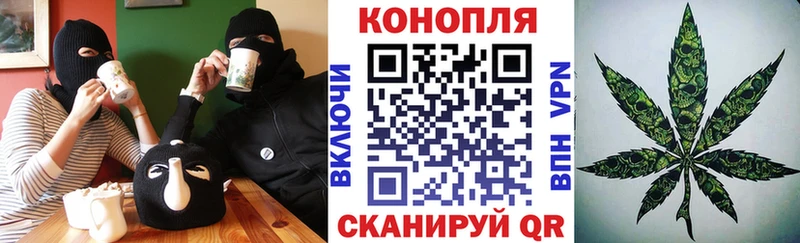 как найти наркотики  Пестово  Конопля семена 